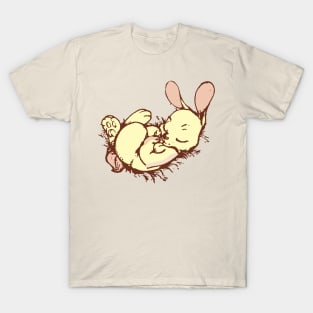 Rabbit Duck T-Shirt